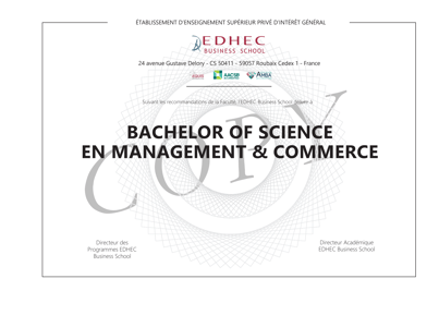 BSc Management