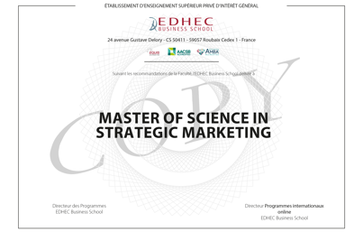 Template MSc-strategic-marketing-1